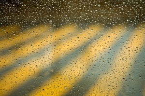 The Yellow Brick Road (photo by John Manno)